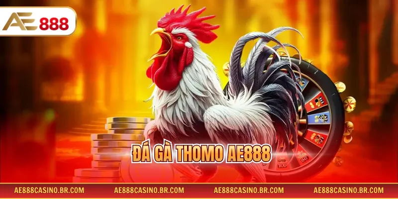 Đá Gà Thomo AE888 Chi Tiết Luật Chơi Và Cách Tham Gia Đơn Giản 4 Đá Gà Thomo AE888 Chi Tiết Luật Chơi Và Cách Tham Gia Đơn Giản